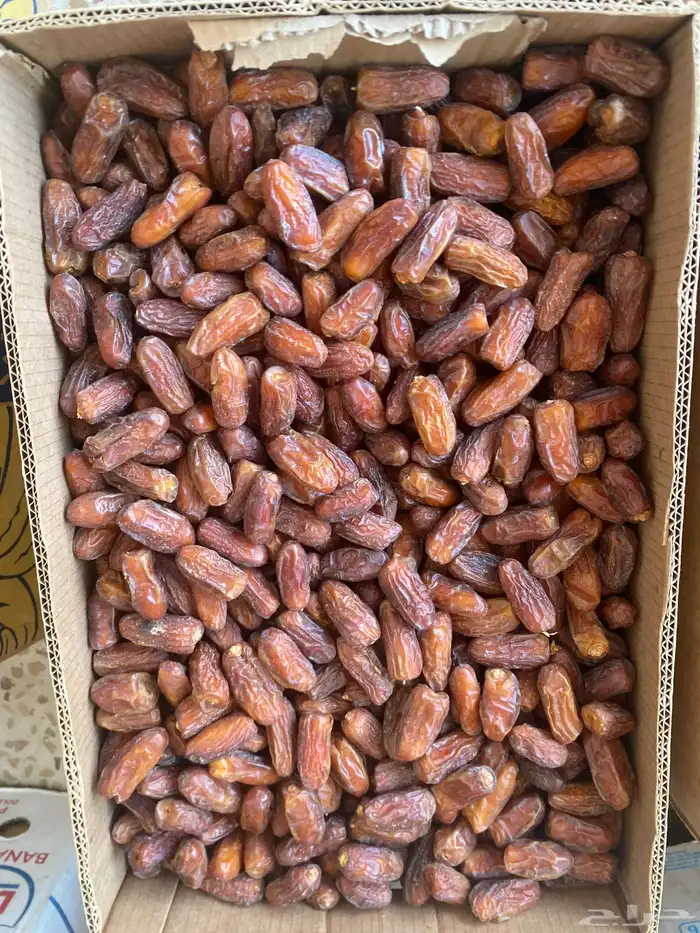 تمر صافي حبه كبيره _ بدير 0