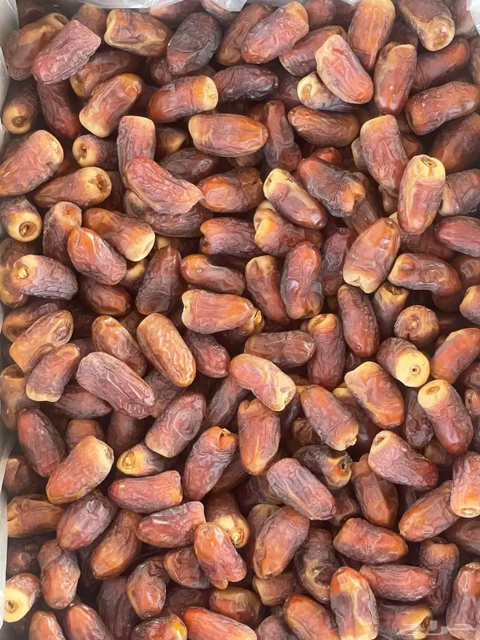 برني العيص (((تم البيع))) 0