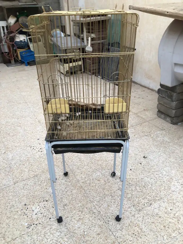 اغراض طيور للبيع 1