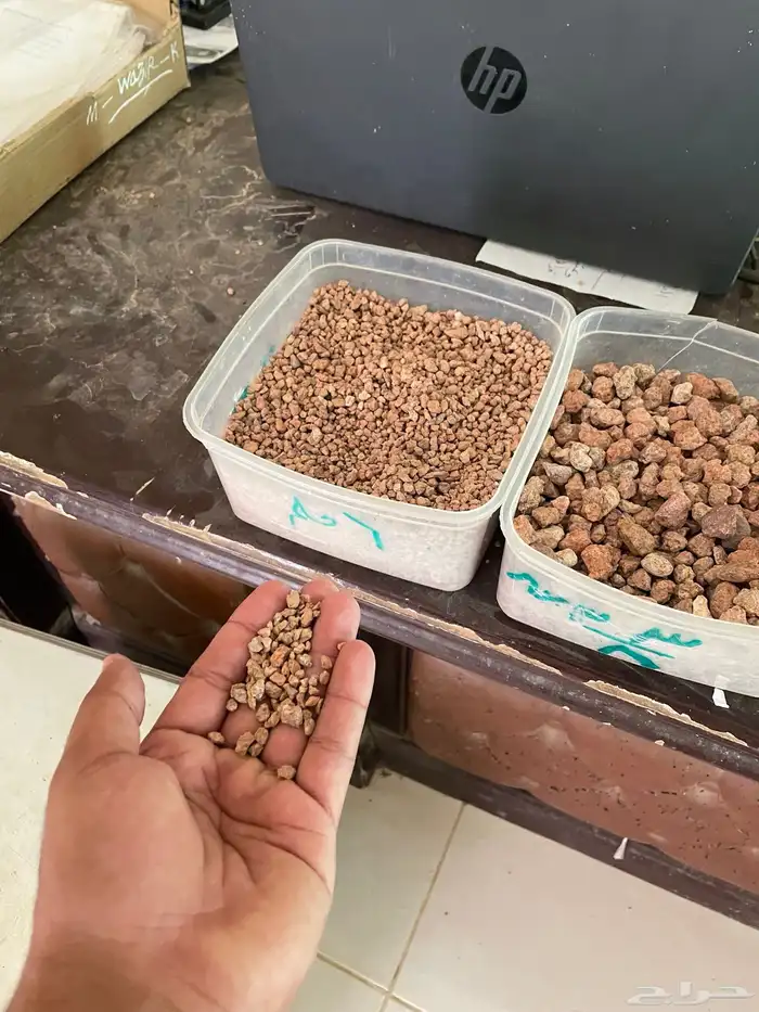 بطحاء حائل 3