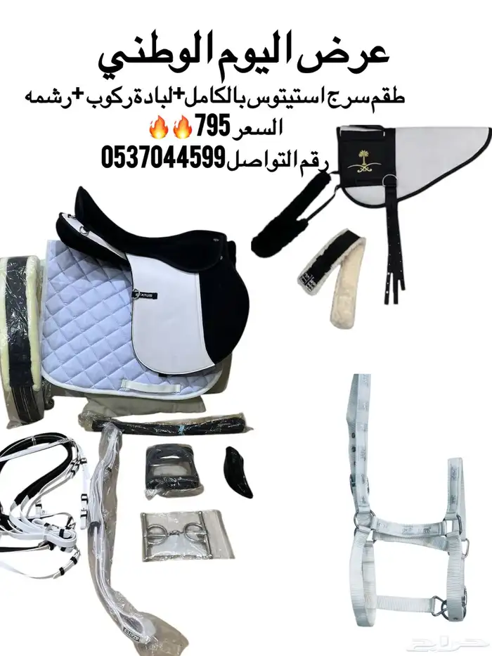 سرج استيتوس 0