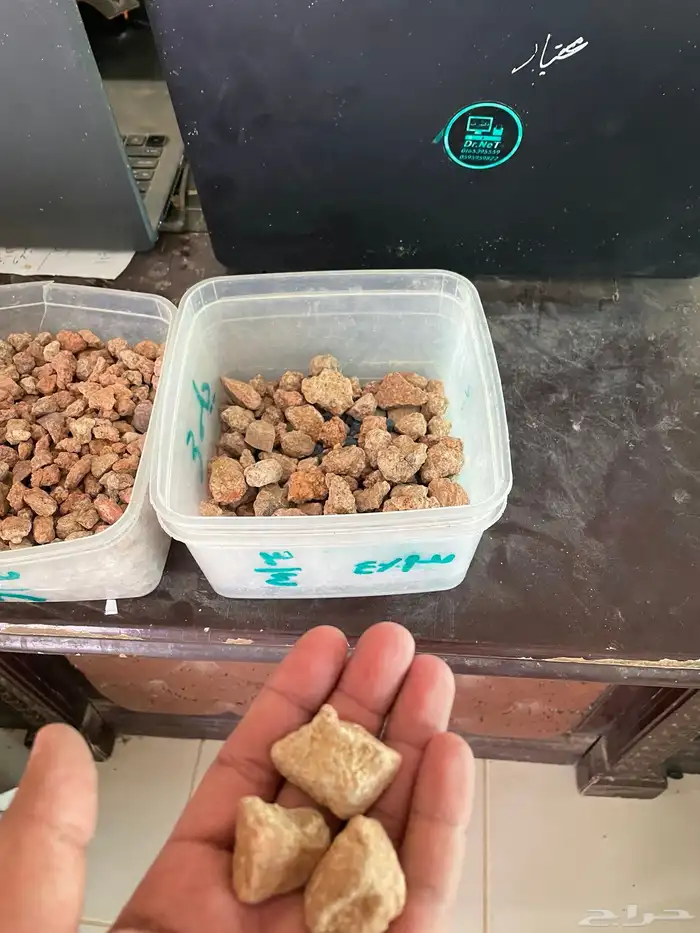 بطحاء حائل 4