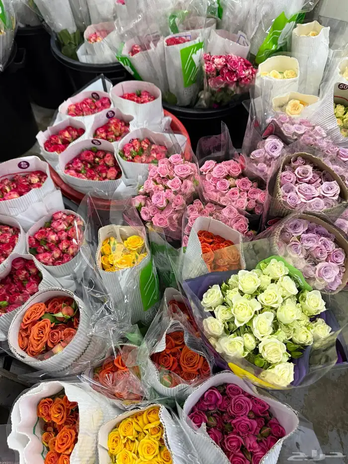 ورد يوم المعلم 0