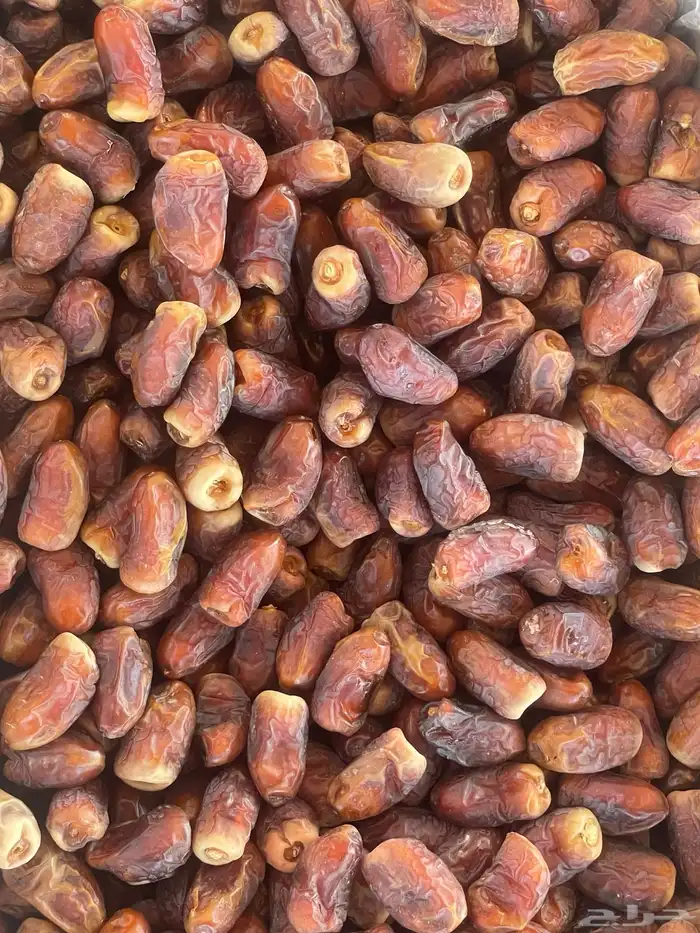 برني العيص (((تم البيع))) 1