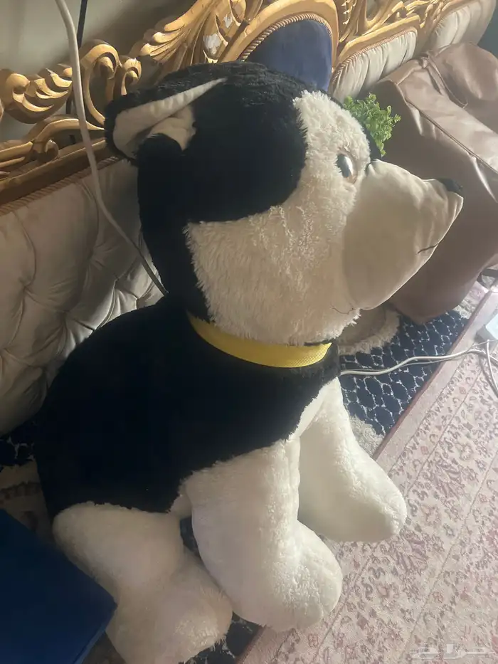 دبدوب كبير 1