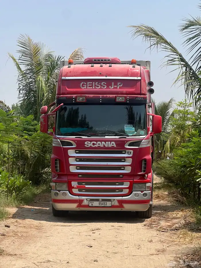 مشتل مؤسسة ميم للتشجير والزراعة جملة نيم نارجيل اشجار ظل 15