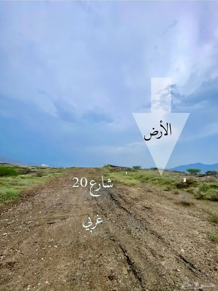 أرض مستويه للبيع رجال المع مخطط بني زيد 5