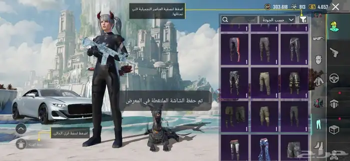 حساب ببجي 19