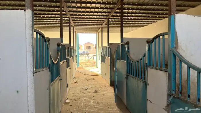 اسطبل كامل للبيع 13