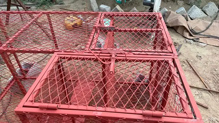 مصيده كبيره ثلاث اقفاص للحيونات اكرمكم الله 3