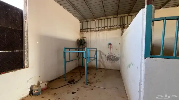 اسطبل كامل للبيع 16