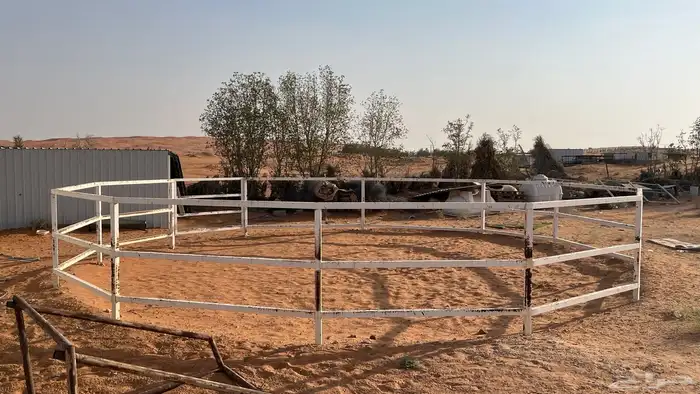 اسطبل كامل للبيع 21