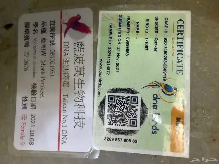 جوز كويكر ازرق منتج ( محلل بشهايد ) 3