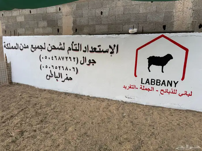 لباني لبيع الذبائح متوفر خدمة تابي و تمارا 2