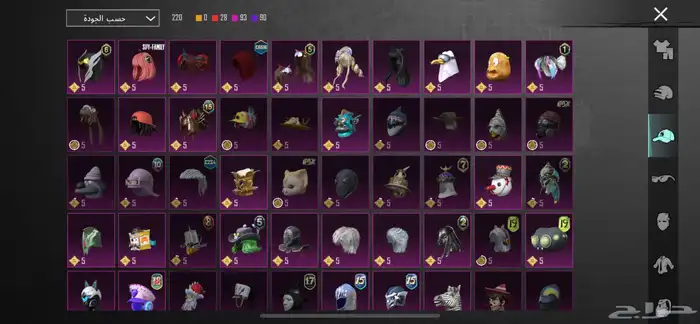 حساب ببجي للبيع 21