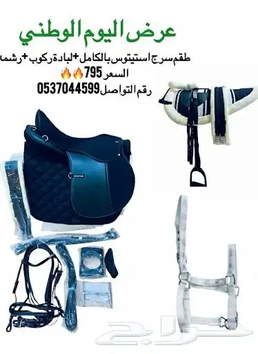 سرج استيتوس 1