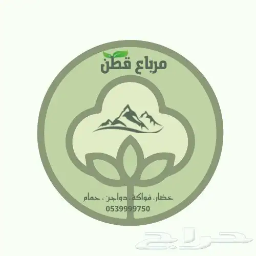 تصميم لوقو واعلانات سوشال ميديا 2