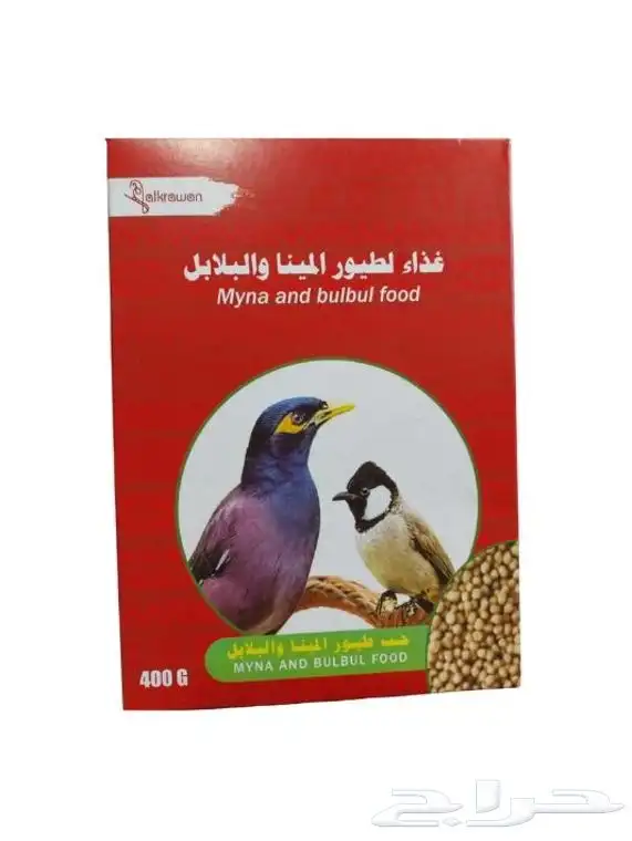 اكل المينو والبلابل 0