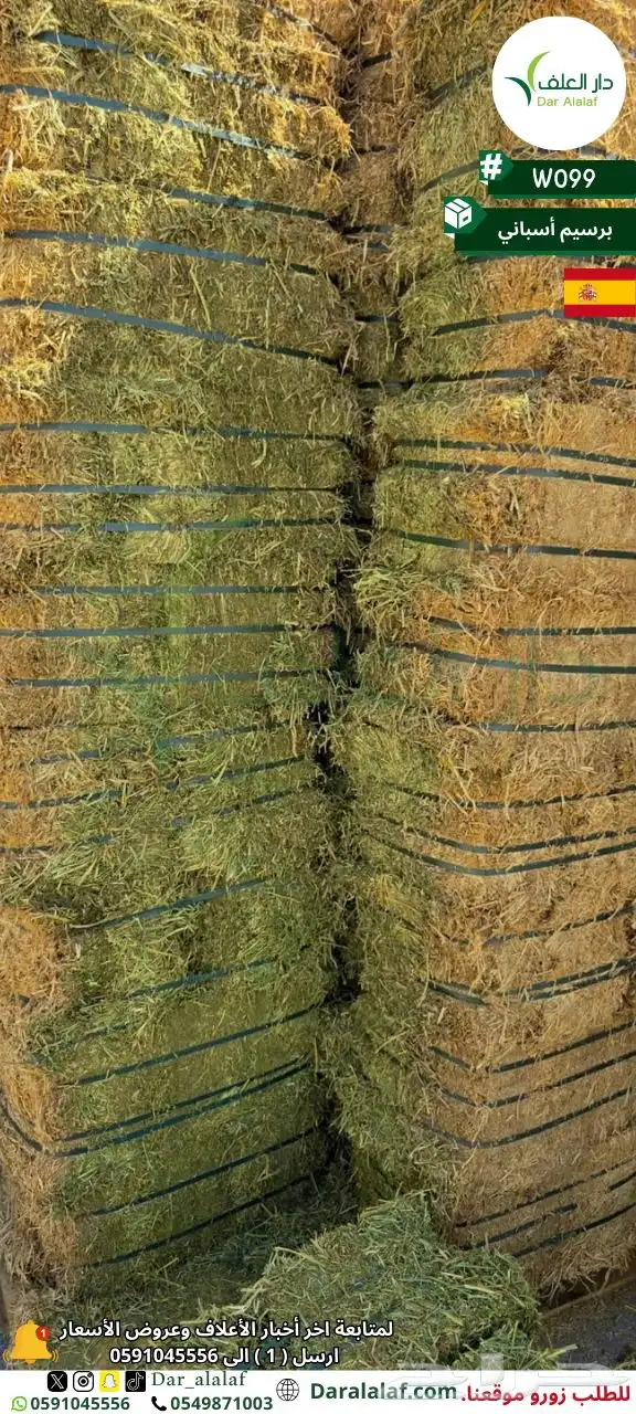 برسيم مستورد جدة 4 3