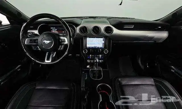 موستنج كوبية 2023 ممشي 17742 5