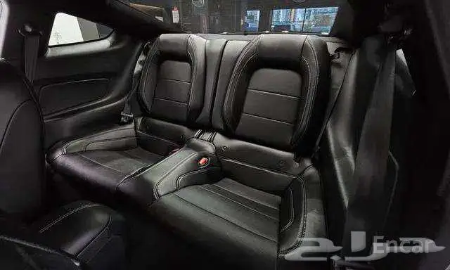 موستنج كوبية 2023 ممشي 17742 10