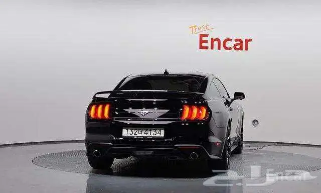 موستنج كوبية 2023 ممشي 17742 2