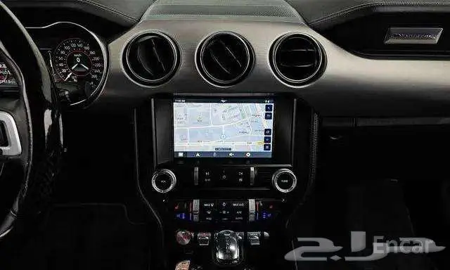 موستنج كوبية 2023 ممشي 17742 7