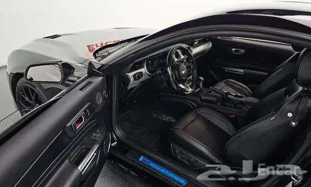 موستنج كوبية 2023 ممشي 17742 9