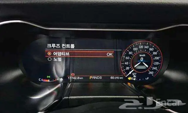 موستنج كوبية 2023 ممشي 17742 3