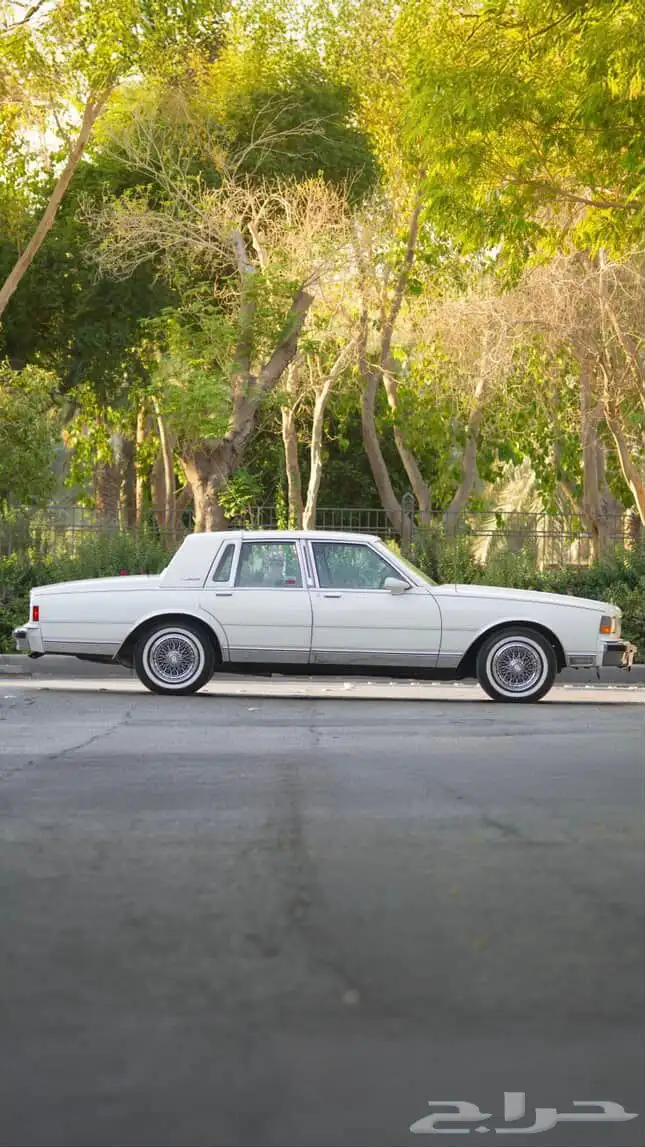 إيجار سياره كلاسيك 7