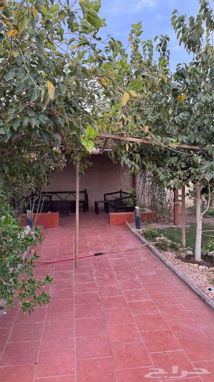 للبيع بيت بحوش كبير ومزرعة وعمارة عظم على 4 واجهات بالطائف 13