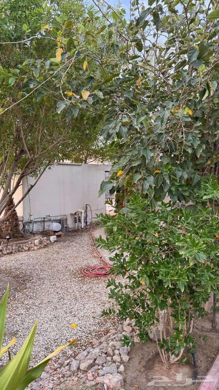 للبيع بيت بحوش كبير ومزرعة وعمارة عظم على 4 واجهات بالطائف 14