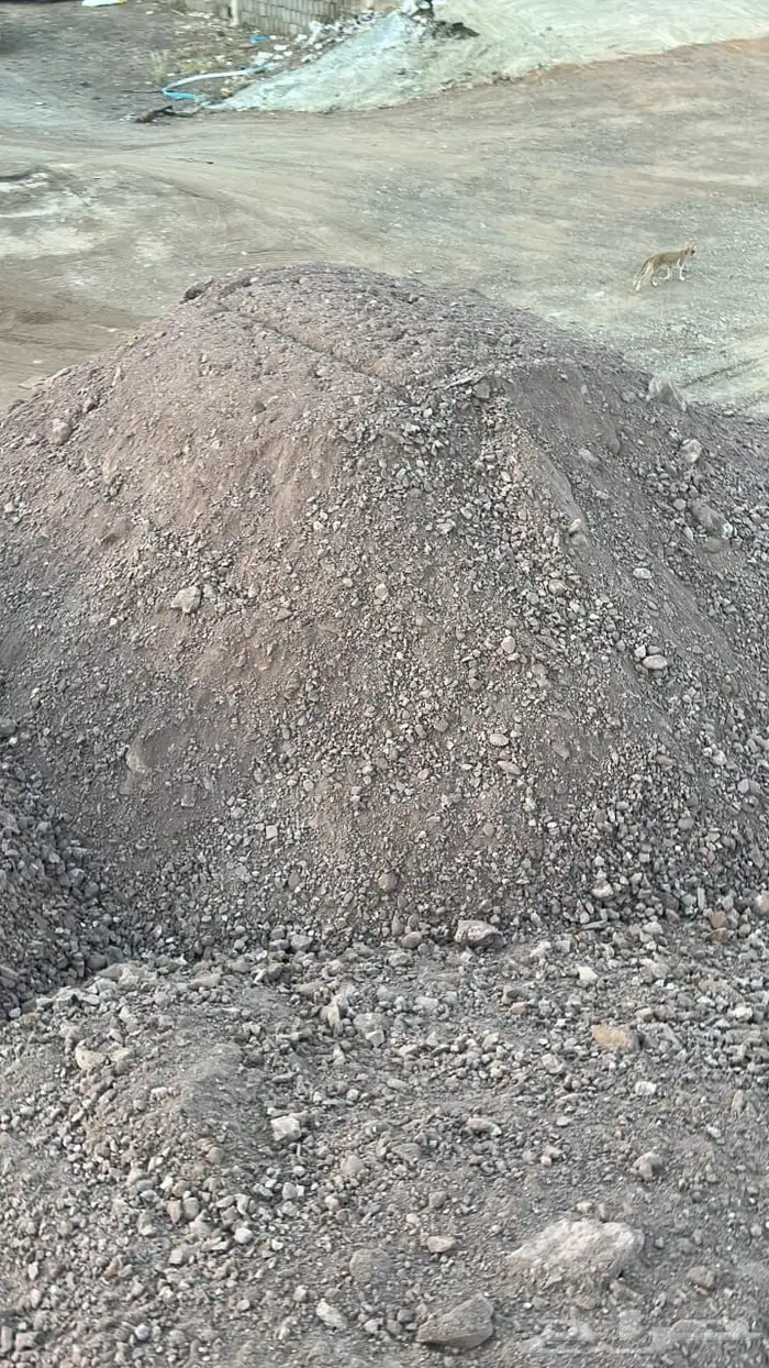 دف ان صبيز 2