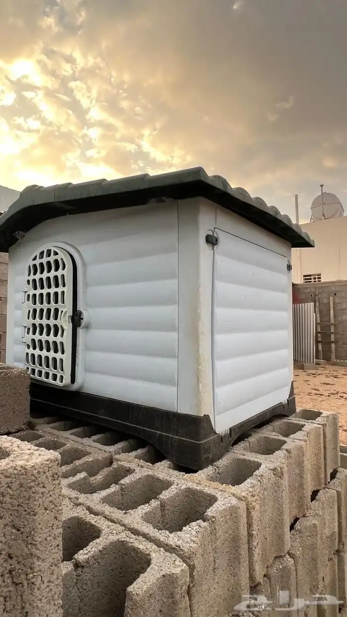 اكواخ كلاب وقطط 3