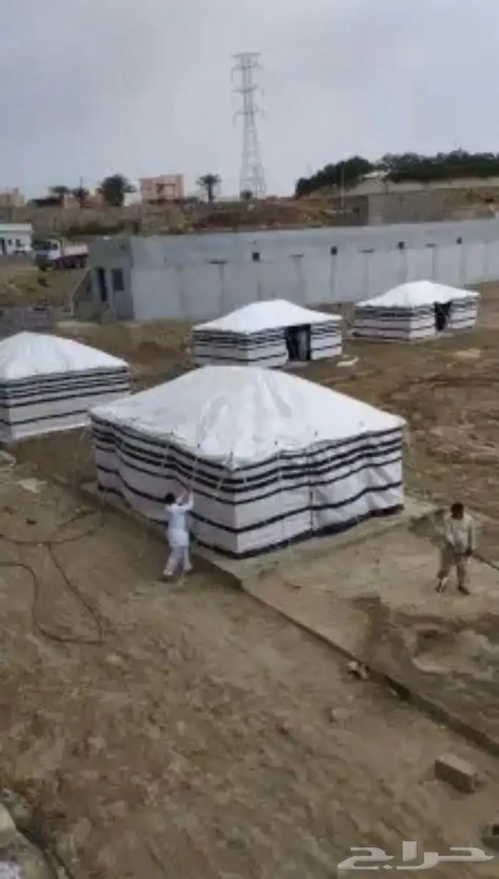 بيوت شعر البيض جميع المقصات 26