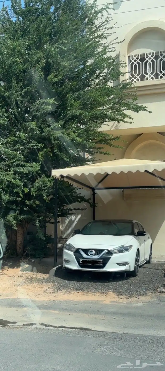 نيسان مكسيما SR 15