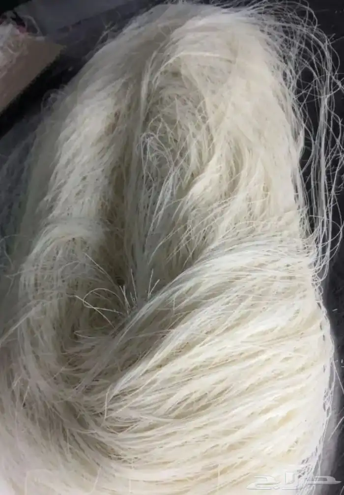 عجينة وشعر كنافة 2