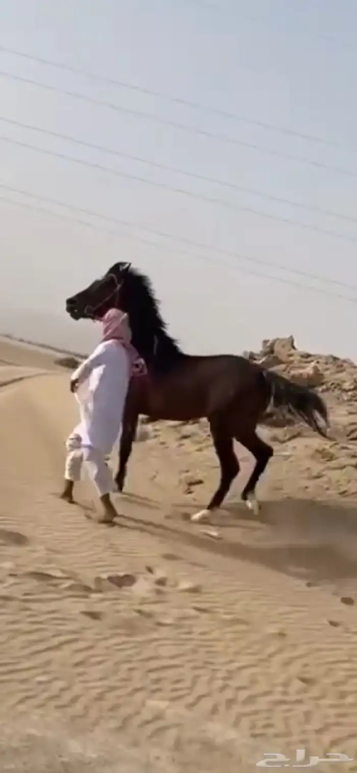 مهر 1
