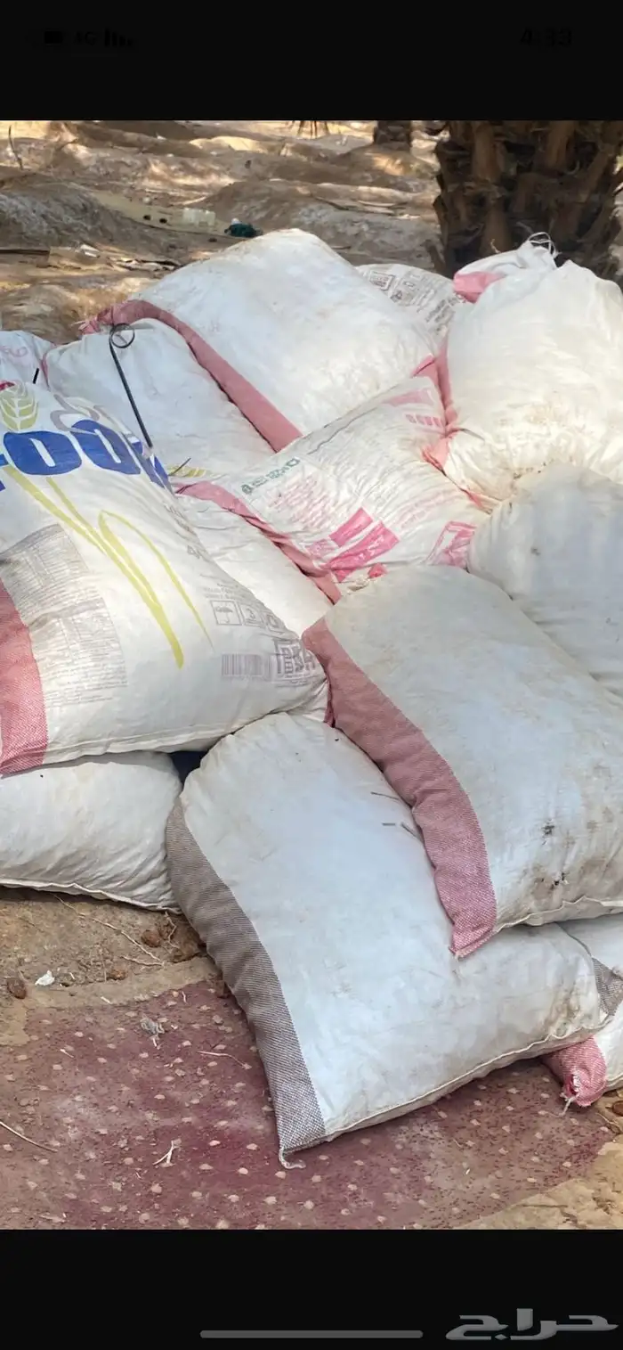 تمر للحلال 3