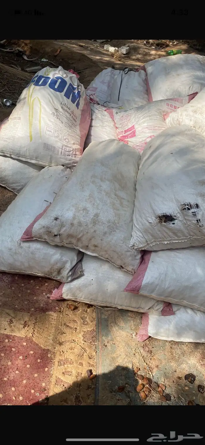 تمر للحلال 1