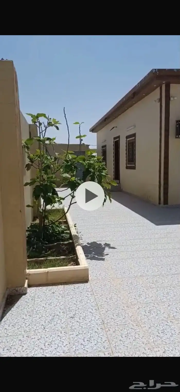 استراحه للتقبيل في السيل الصغير ذو الحجي الحامديه بالطائف 0