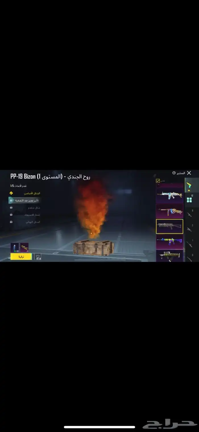 بوبجي 7