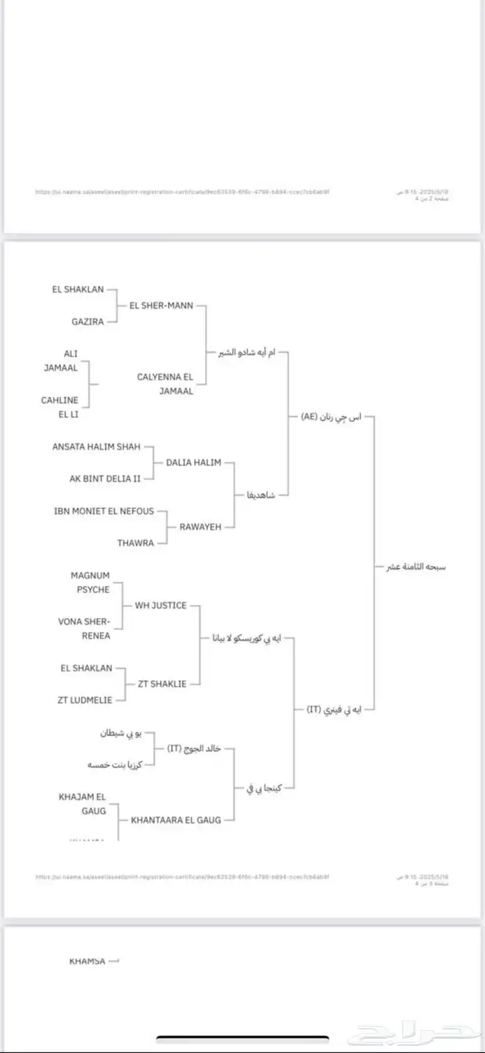 فرس واهو فاخرة 5