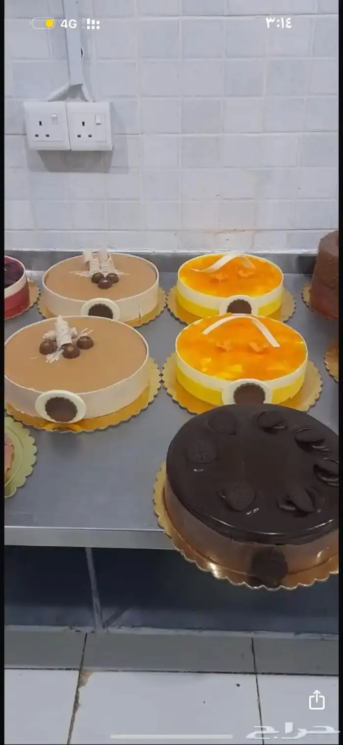 معمل حلويات 5