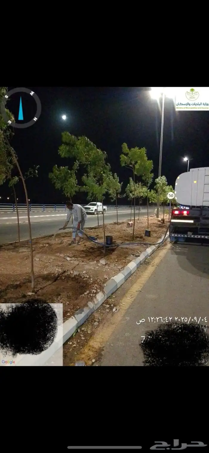 مشتل مؤسسة ميم للتشجير والزراعة جملة نيم نارجيل اشجار ظل 11