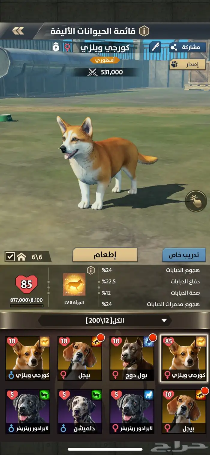بيع قلعه قبلة الحرب 11