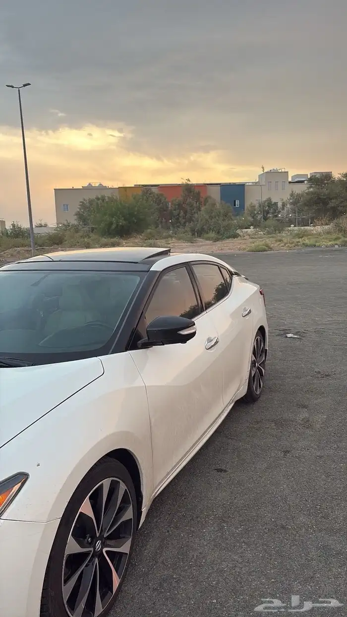 نيسان مكسيما SR 12