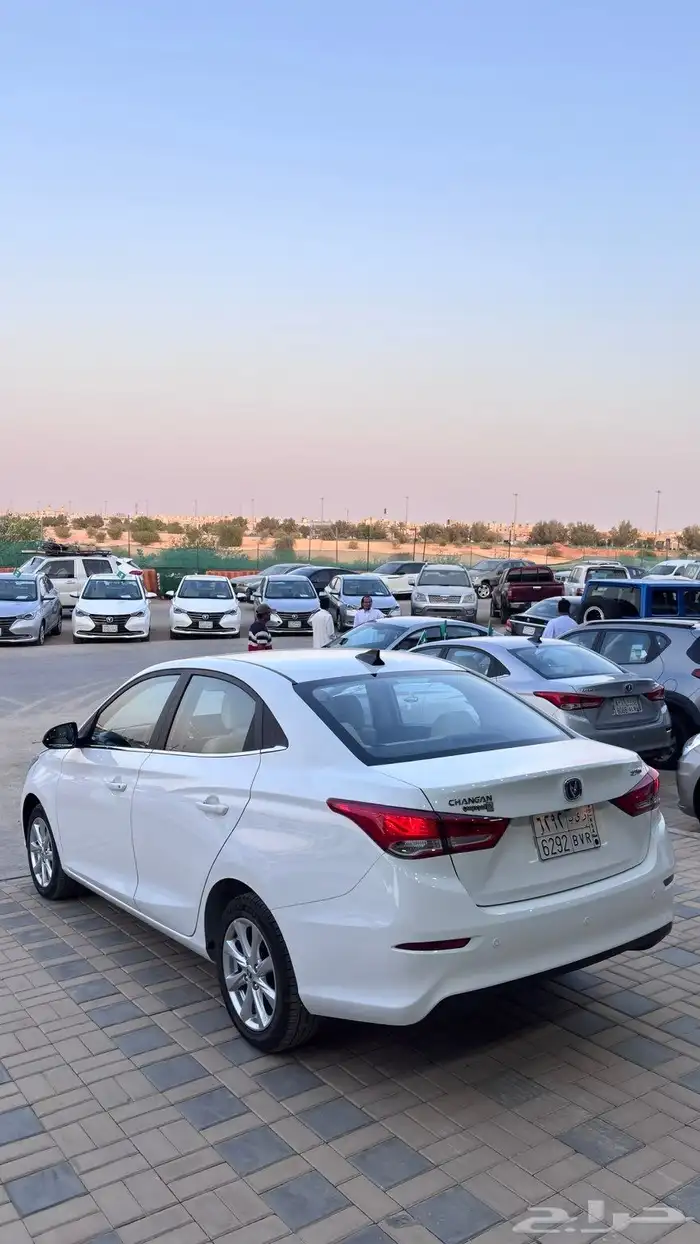 شانجان السفن 2025 فل كامل عداد 8 الاف عرض خاص 5