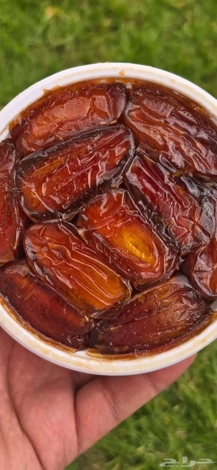 صفري بيشة فاخر 1