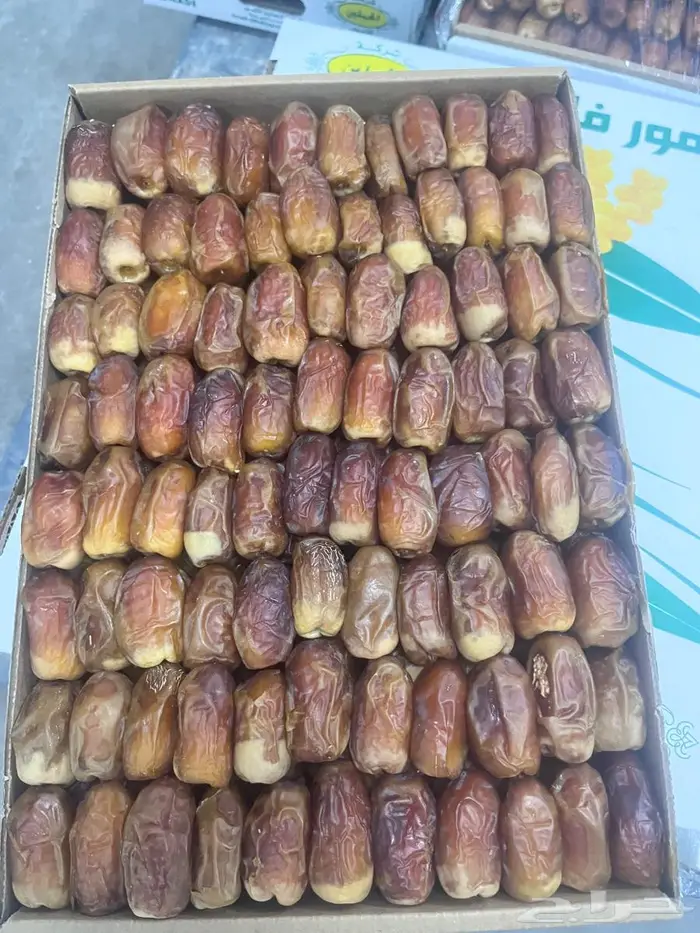 تمر صقعي للبيع 3